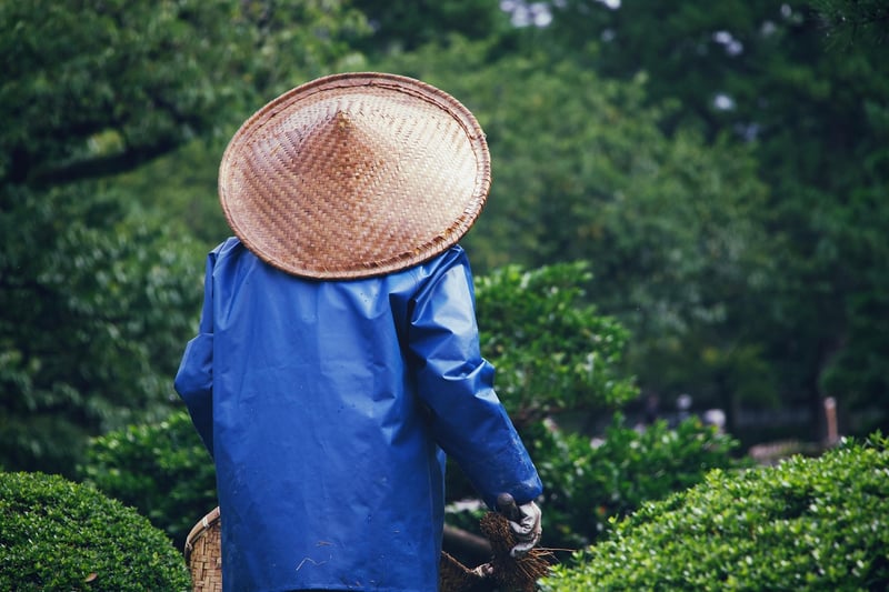 Gardening Adventures